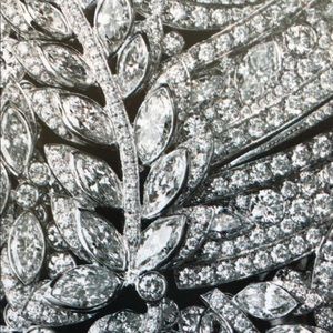 Meet your Posher, Eliza